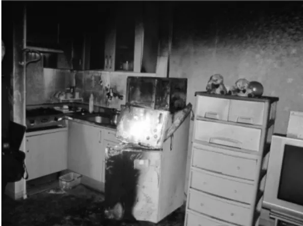 Figure 3. Burned feature of refrigerator’ outside.