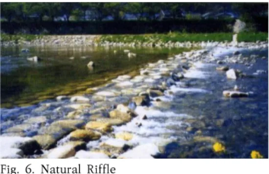 Fig.  6.  Natural  Riffle 