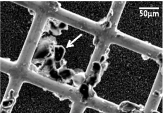 Fig. 1 An SEM image of the graphite-coated micro Cu grid 