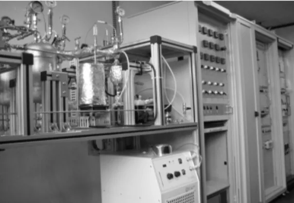 Fig. 1 2 l/min water gas shift reaction system