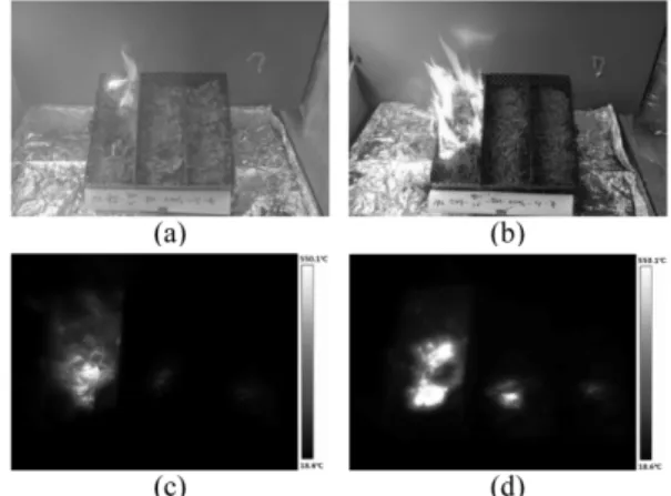Figure 6. Cigarette smoldering fire's ignition to  P.