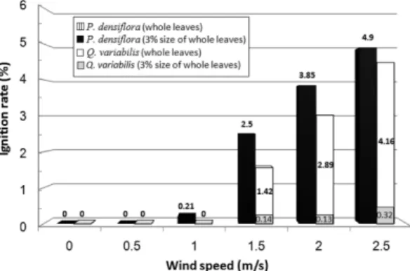 Figure 9. Ignition rate of tree species/size of fallen leaves by wind velocity.