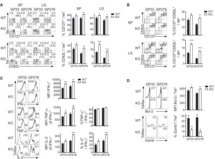 Figure 2. Increased Accumulation of Antigen-Specific Memory CD8 + T Cells with Enhanced Functional Capacity in Both Lymphoid and Non-