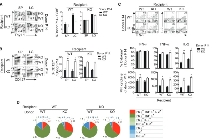 Figure 4. Loss of miR-150 in Antigen-Specific CD8 + T Cells Augments CD127 Conversion and Effector Cytokine Production