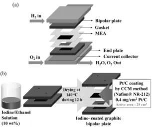 Fig. 1 Schematic diagram of (a) the configuration of a single  cell and (b) the coating process for iodine-coated bipolar  plate