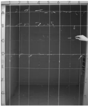 Figure 3. Backflow test by the smoke tester.