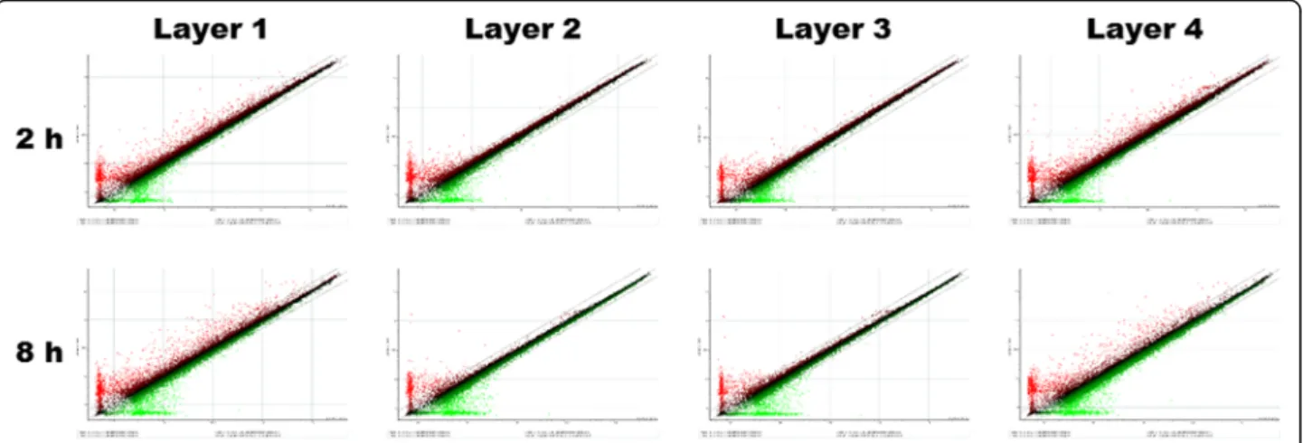 Table 1 shows the summary of significantly differentially expressed genes. Layer 1, 2, and 4 groups showed  signifi-cantly lower expression of fibroblast growth factor-2 (Fgf2) at 8 h after addition of a protein solution (P < 0.05)