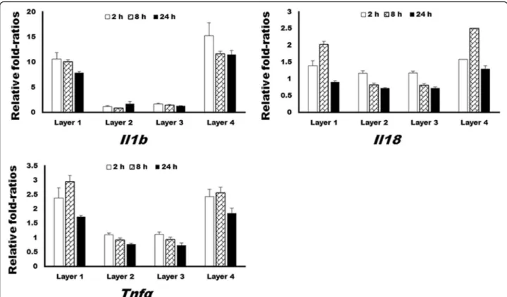 Fig. 3 The results of quantitative reverse-transcriptase polymerase chain reaction (qRT-PCR) analysis of selected genes