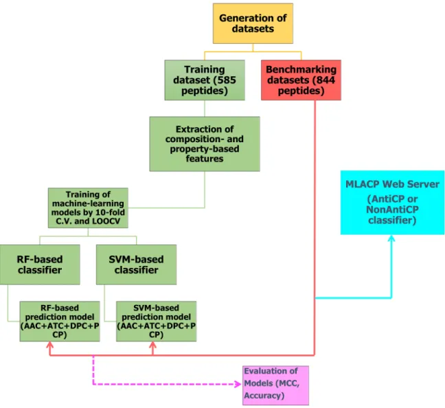 Figure 1: Flowchart showing steps involved in the development of prediction model (MLACP methodology).