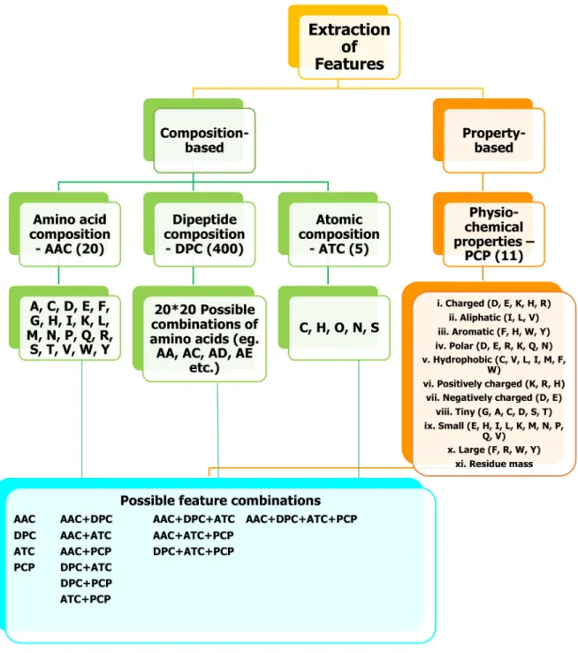 Figure 4: Overview of feature extraction.  We used both composition-based and property-based information from a given peptide  sequence and used as input feature to ML method