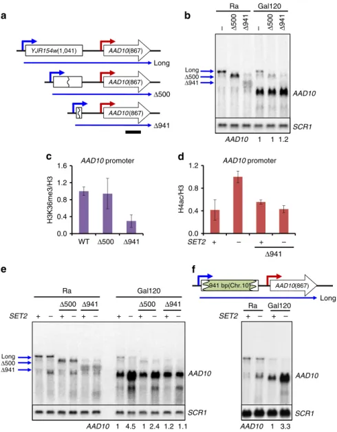 Figure 4 | Shortening the distance between the two promoters at AAD10 alleviates Set2–Rpd3S-mediated repression