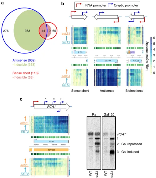 Figure 6 | Set2 represses inducible cryptic promoters. (a) Tiling array data identiﬁed 757 cryptic transcripts increased in set2D