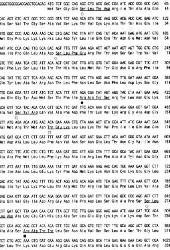 Figure 1. Complete nucleotide and deduced amino acid sequence of the rat CALM. Numbers refer to nucleotide and amino acid positions