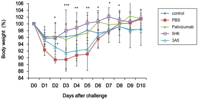 Fig 6. 5H6 prevents weight loss primed by vvG. Effect of prophylactic administration of mAb 5H6 and 3A5 on weight change in