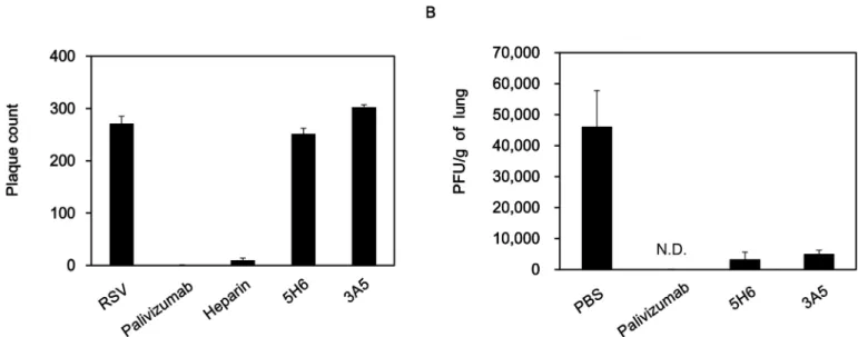 Fig 4. In vitro Neutralization and In vivo RSV clearance activity of 5H6 and 3A5. (A) In vitro plaque reduction assay