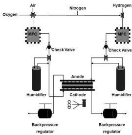 Fig. 1 The transparent unit PEM fuel cell adopted for direct  visualization experiment