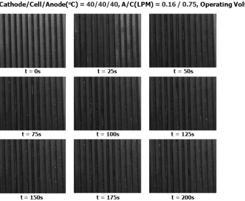 Fig. 4 Picture images of liquid water distribution in the cathode flow channels at the operating cell voltage of 0.4V  널에서 물 분포와 이동 특성 파악을 통하여 플러딩  현상의 발생도 함께 관찰할 수 있다 