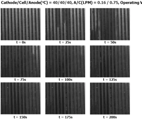 Fig. 5 Picture images of liquid water distribution in the cathode flow channels at the operating cell voltage of 0.6V 과이다 