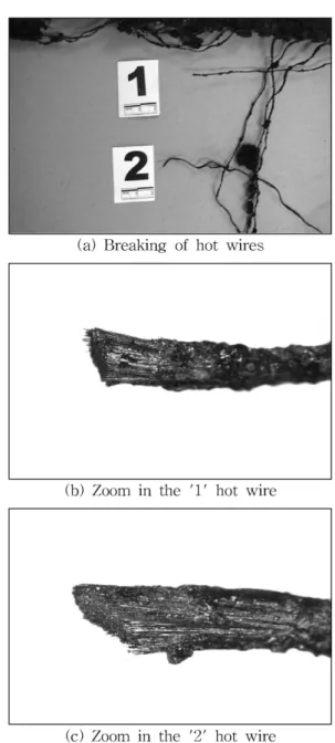Figure 5. Zoom in carbonized point in the electric pad caused by local heating.