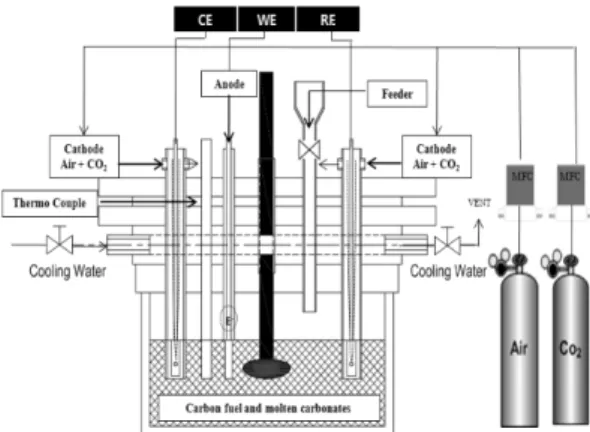 Fig. 2 Schematic diagram of the DCFC system