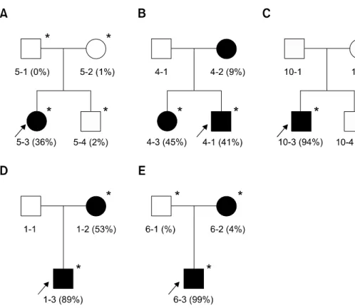 Figure  1.  Pedigree analysis and 