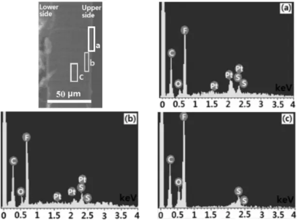 Fig. 2 EDS spectra for the corresponding area on the crosssectional Nafion/Pt film prepared by exposure to Pt(acac) 2  for 15min terephthalate), PET 필름을 고정시킨 후 그 위에 나피 온 필름을 올려놓고,  반응기 바닥에 넣는다