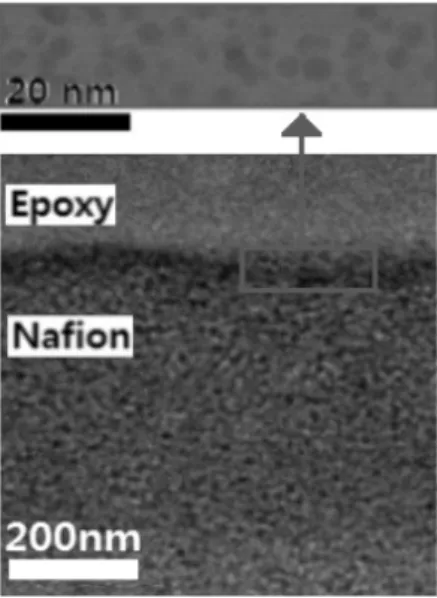 Fig. 3 Pt-elemental mapping (black dot) for the area (b) in  Fig. 2, which was analyzed by EDS