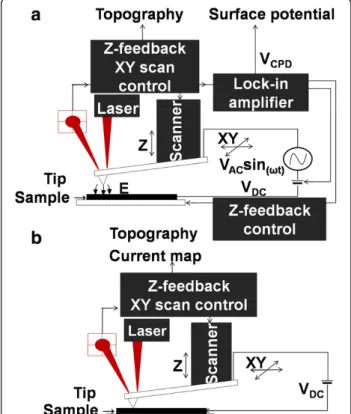 Figure 1 Schematic illustration of (a) Kelvin probe force microscopy and (b) conductive atomic force microscopy.