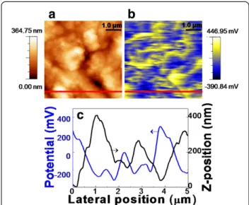 Figure 2 shows topography, surface potential, and the line profiles of the CZTSSe thin film