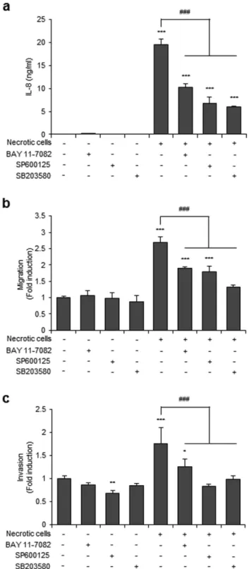 Figure 4.  NF-κB, JNK, and p38 inhibitors reduced IL-8 expression, cell migration, and invasion in  CRT-MG cells