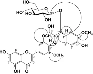 Figure 2. Key HMBC correlations of compound 4. 