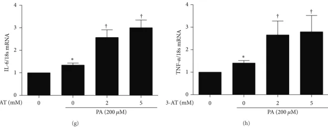 Figure 5: Catalase inhibition accelerates inflammation in RAW264.7 macrophages. RAW264.7 cells were treated for 6 h with 0, 1, 2, 5, and 10 mM 3-AT