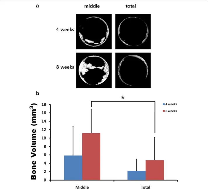 Fig. 4 Radiographic examination. a Micro-computed tomography. b The bone volume analysis ( asterisk significantly different at P < 0.05)