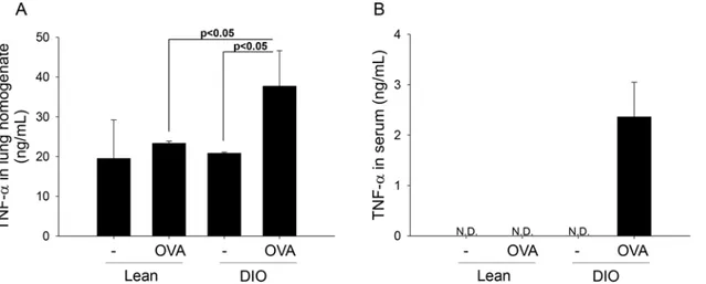 Figure 3. Obesity increases TNF- α levels in the asthma model. TNF-α levels in (a) the bronchoalveolar lavage fluids and (b) the blood sera were measured in the asthma models