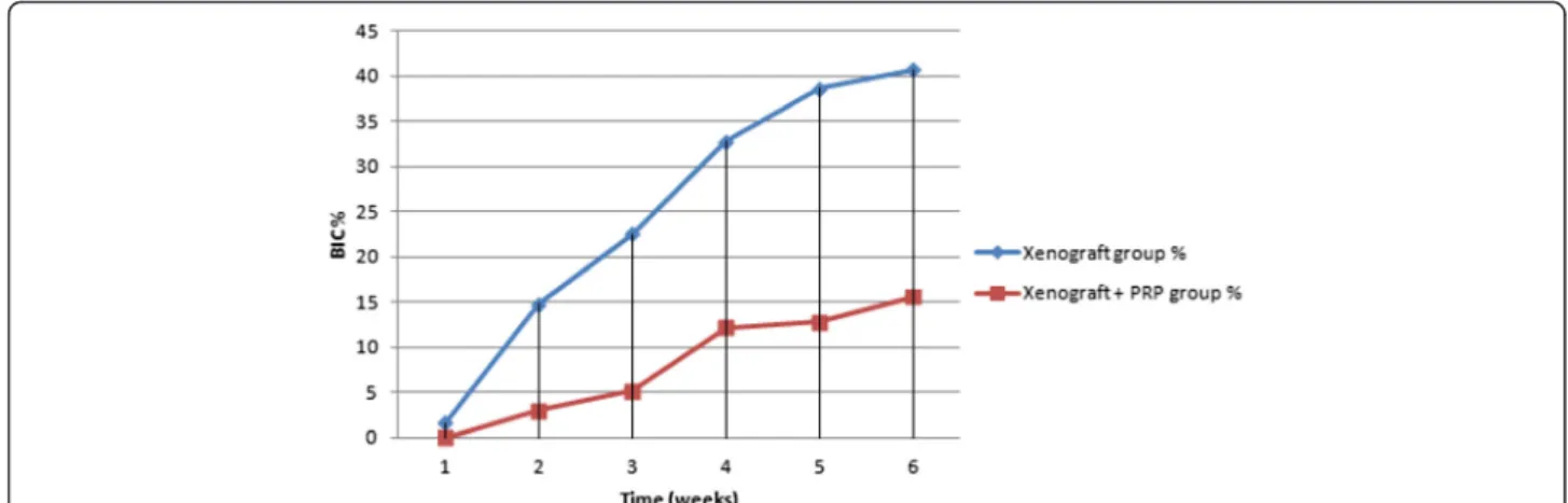 Fig. 6 Mean percentage of bone-to-implant contact (BIC %) in rabbit ’s tibia. the xenograft and PRP group shows lower BIC than the control group (statistically significant difference, P < 0.05)