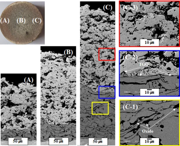 Fig.  6.  Surface  images  of  TBC  species  with  gradient  coating  after  TS  test