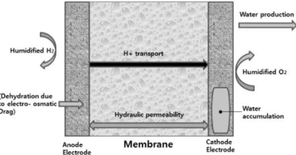 Fig. 1 Chemical formation of the electrolyte membrane 11)