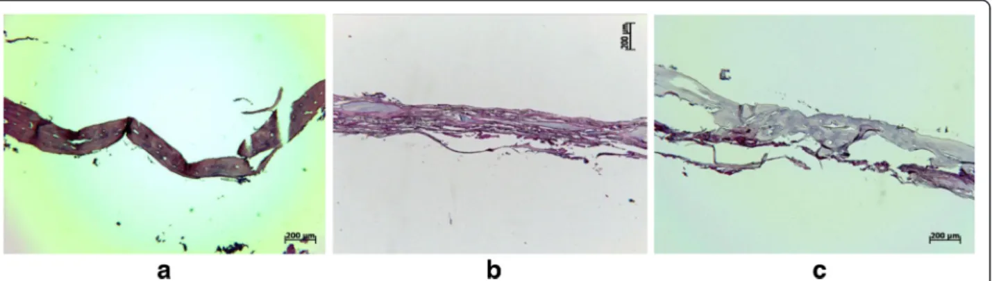 Fig. 3 The newly formed bone in the central portion at 4 weeks after treatment: group 1 (a), group 2 (b), and group 3 (c)