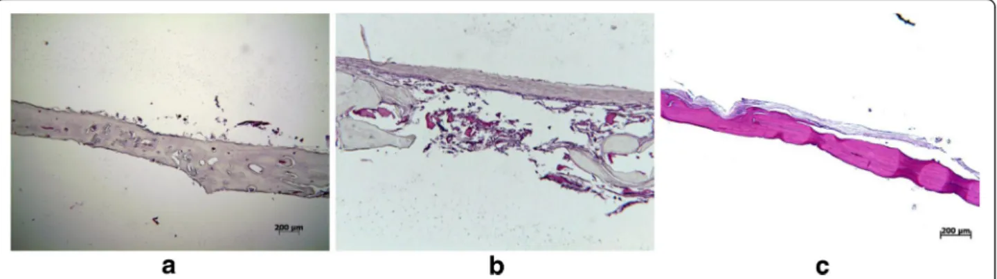 Fig. 5 The newly formed bone in the central portion at 8 weeks after treatment: group 1 (a), group 2 (b), and group 3 (c)