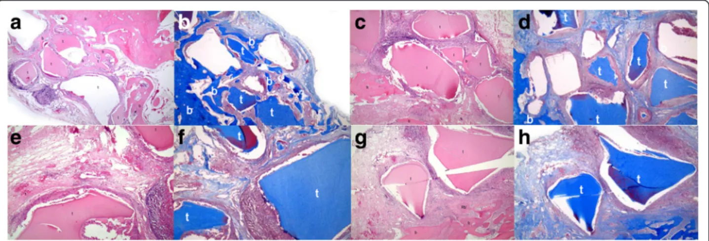 Fig. 3 The histological examination. a Histologic finding of group 1 after 2 weeks (H-E stain, ×40): t DDM, b bone of skull, rb regenerative bony tissue, Rb regenerative bony tissue from the skull bone
