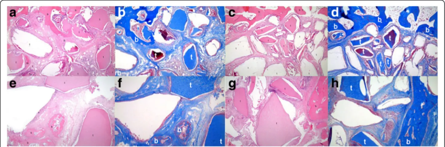 Fig. 5 The histological examination. a Histologic finding of group 1 after 8 weeks (H-E stain, ×40)