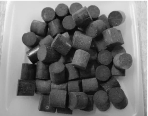 Fig. 1 Pellet type Cu-ZnO/Al 2 O 3  catalyst for WGS at high  pressure condition1.  서론최근  석유  매장량  감소와  환경문제에  대한  국제 사회의  관심이  커지면서  선진국들의  신재생에너지 개발이  활발히  진행되고  있다