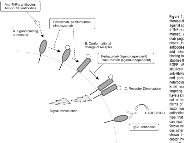 Figure  1.  Mechanisms of action for 