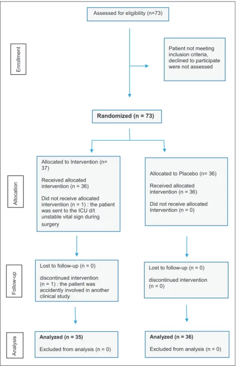 Figure 1. Flow diagram showing progress through the phases of the randomised double blind study comparing the efficacy and safety of intravenous nefopam/fentanyl versus fentanyl alone as postoperative patient controlled analgesia following laparotomy.
