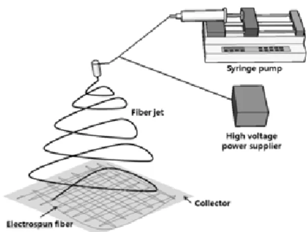Fig. 1 The schematic diagram of electrospinning setup 16)