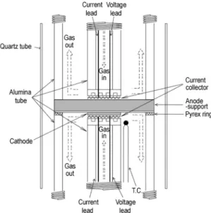 Fig. 1 Schematic drawing of the electrochemical test apparatus 