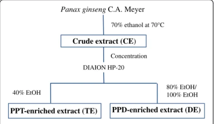 Figure 1 Schematic flow diagram of the ginseng extract preparation.