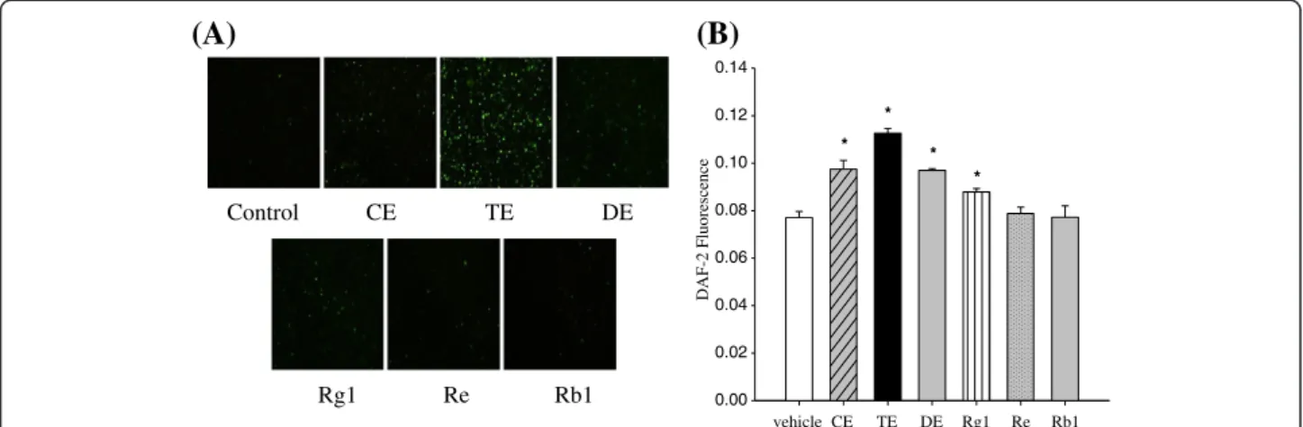Figure 2 Effect of ginseng extracts and individual ginsenosides on NO production in HUVECs