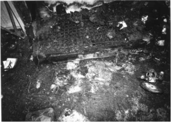 Figure 8.  Burned feature of wall. Figure 11.  Fire scene of excavation.