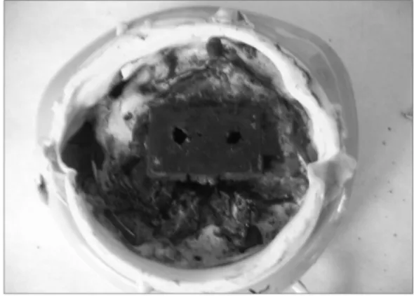 Figure 19.  Feature of the mosquito repellent mat after burning.